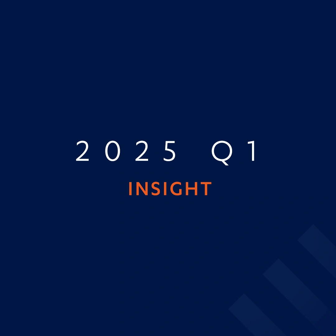 2025 Q1 Insights